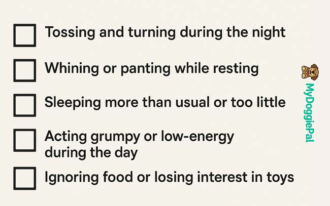 Quick Checklist 5 Signs Your Dog Isnt Sleeping Well