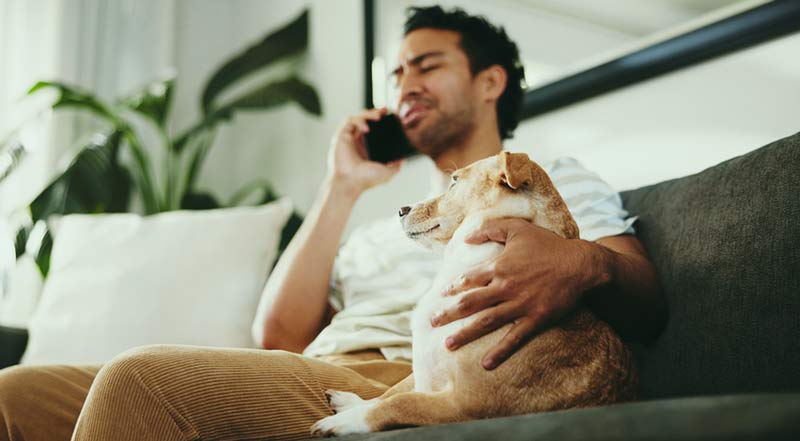 when to call vet about dog sleeping too much or too little